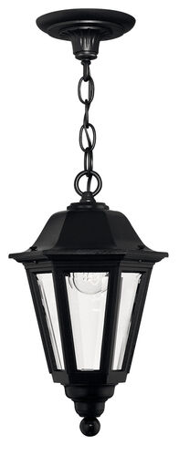 Lon Outdoor Hanging Lantern – Capital Lighting