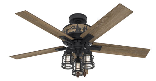 Fan Control – Hunter