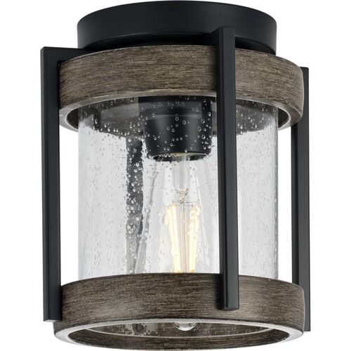 Whitmire Outdoor Flushmount – Progress Lighting