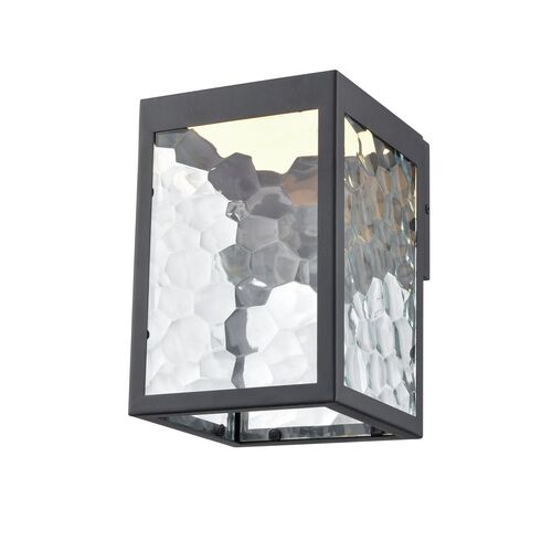 Gull Wall Lantern – Trans Globe Imports