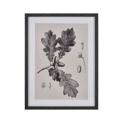 Buck Rain Wall Art – ELK Home