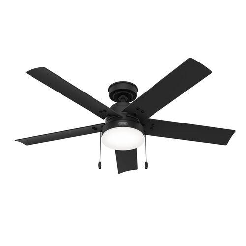 Arwen 60″   Ceiling Fan – Hunter