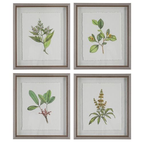 Wildflower Study Framed Prints, S/4 – Uttermost