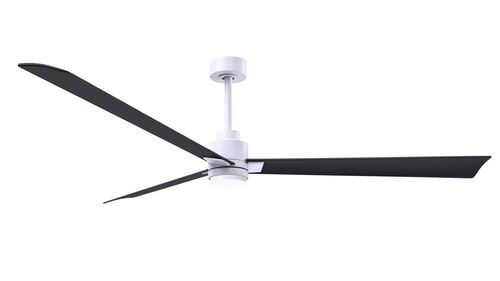 Mollywood 60″ Ceiling Fan – Matthews Fan Company