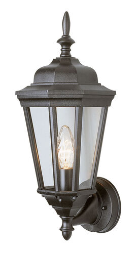 Alcona Outdoor Wall Lantern – Visual Comfort Studio