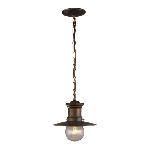 Sheridan One Light Outdoor Chain Mount – Z-Lite