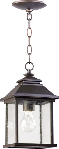 Refuge Hanging Lantern – Progress Lighting