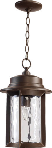 Abbey One Light Outdoor Chain Mount – Z-Lite