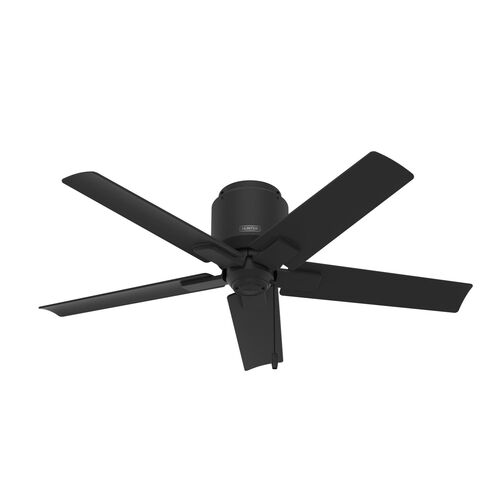 Anslee 52″ Ceiling Fan – Hunter