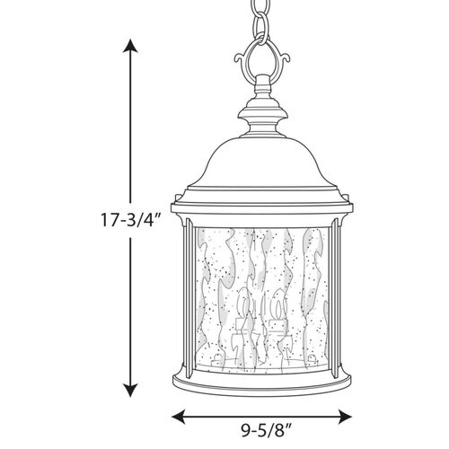 Ashmore Hanging Lantern – Progress Lighting