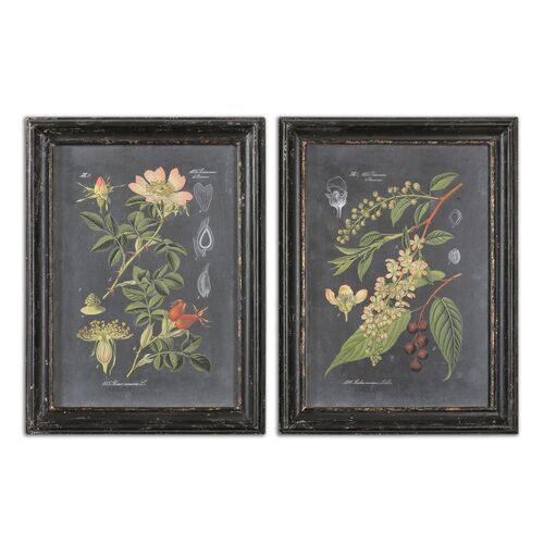 Green Floral Botanical Study Wall Art – Uttermost