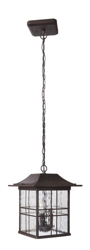 Adair Outdoor Hanging Lantern – Capital Lighting