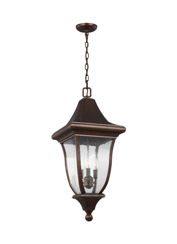 Bingham LED Hanging Lantern – Hinkley