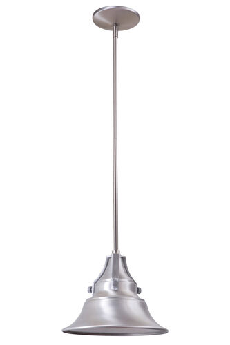 Aiden One Light Outdoor Hanging Lantern – Capital Lighting