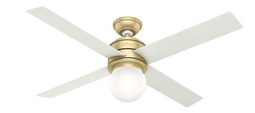 Fan Control – Hunter