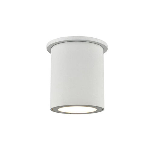 Exterior – Ceiling Mount – Trans Globe Imports