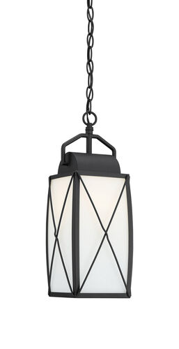 Luminata LED Outdoor Chain Mount – Z-Lite