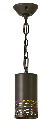 Tucker LED Hanging Lantern – Hinkley